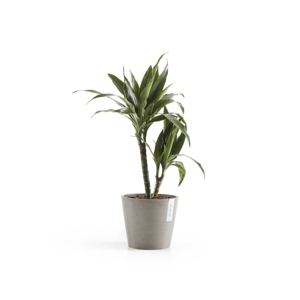 Ecopots - Pot Rond Amsterdam 20 Taupe - Ø 20 x H. 17,5 cm - 4 L ECOPOTS - Image 2