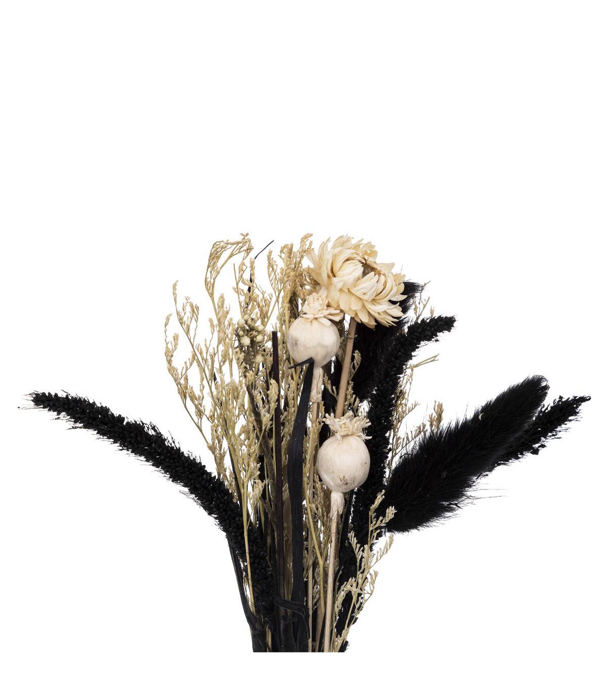 Atmosphera - Composition de Fleurs Séchées Vase en Verre D. 10 x H. 27 cm - Image 2