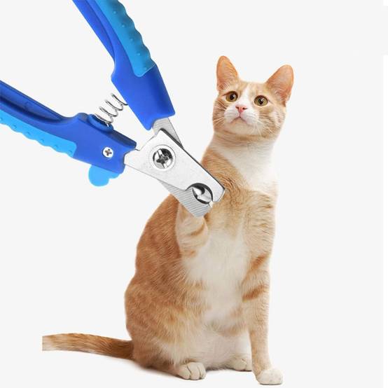 Coupe-Griffes Professionnel Chien/Chat - Acier Inoxydable DtopbuyAge - Image 5