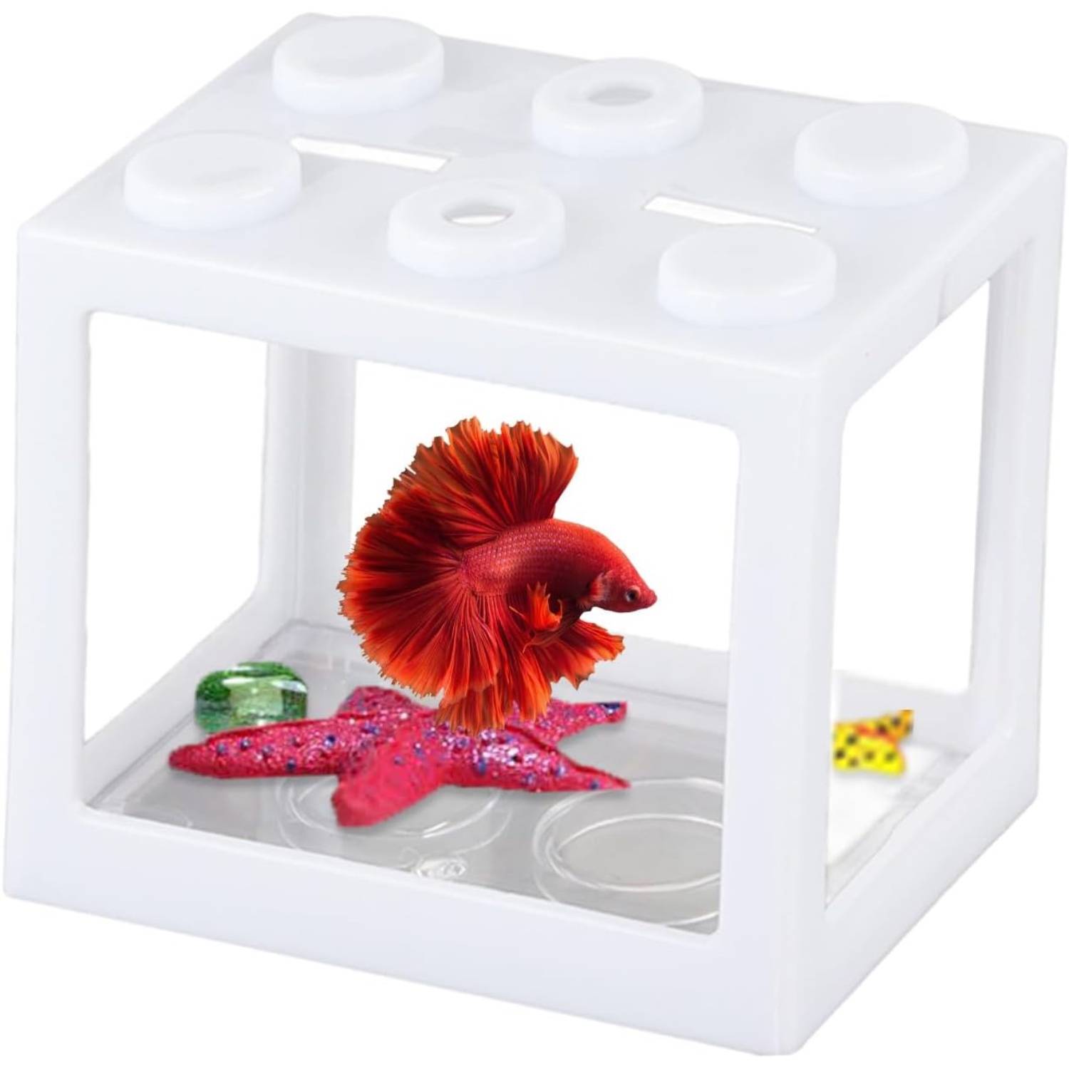 Aquarium Betta Miniature en Acrylique Transparent DtopbuyAge - Image 1