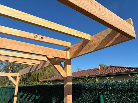 Green Outside - CARPORT BOIS 24,50 m² EAZY-LODGE Carprotect CAMP'CAR douglas 1pl. - Image 2