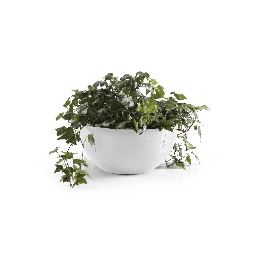 Ecopots - Pot Rond Brussels 30 Blanc Pur - Ø 30 x H. 14 cm - 6,5 L ECOPOTS - Image 3