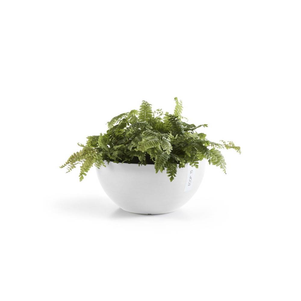 Ecopots - Pot Rond Brussels 30 Blanc Pur - Ø 30 x H. 14 cm - 6,5 L ECOPOTS - Image 2