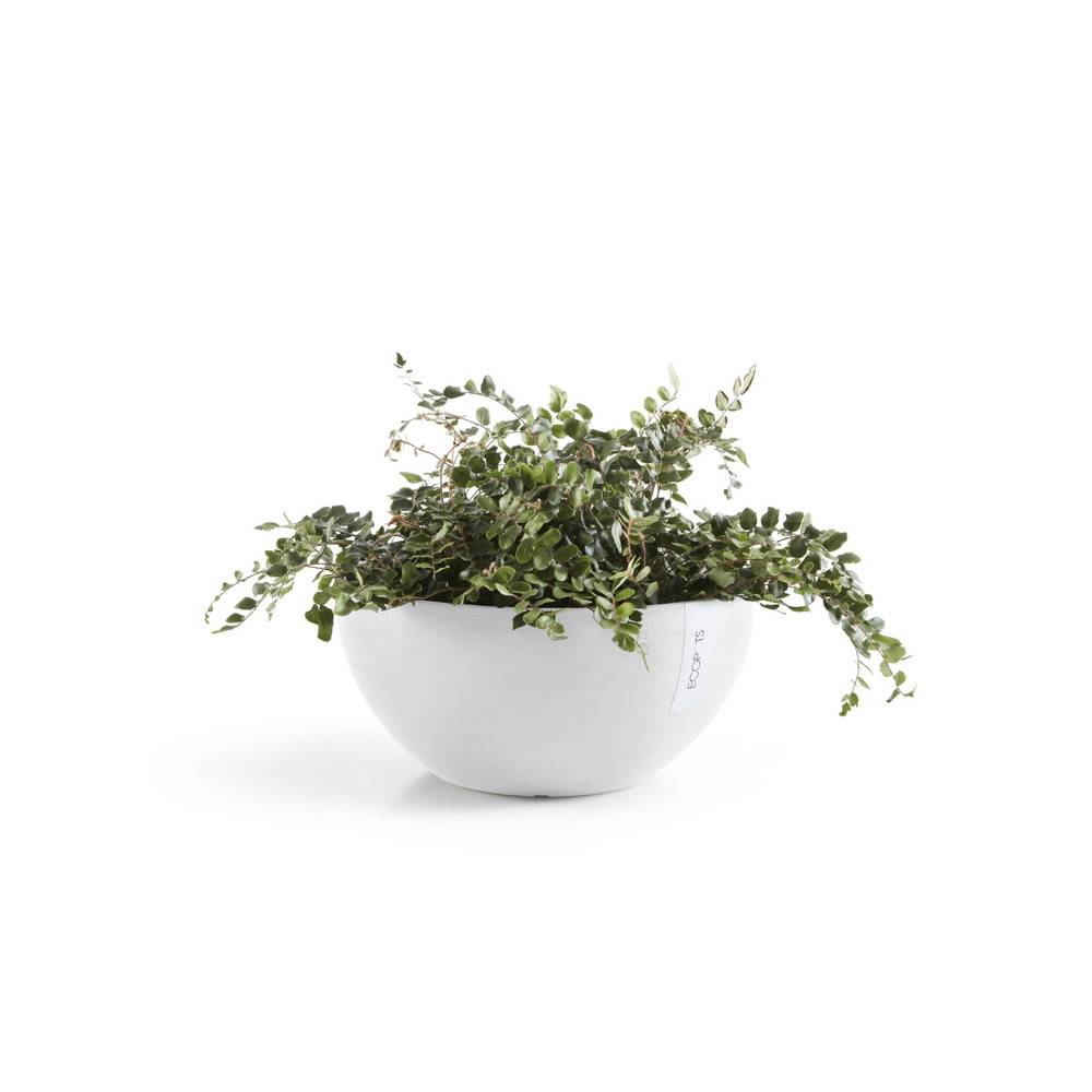 Ecopots - Pot Rond Brussels 30 Blanc Pur - Ø 30 x H. 14 cm - 6,5 L ECOPOTS - Image 1