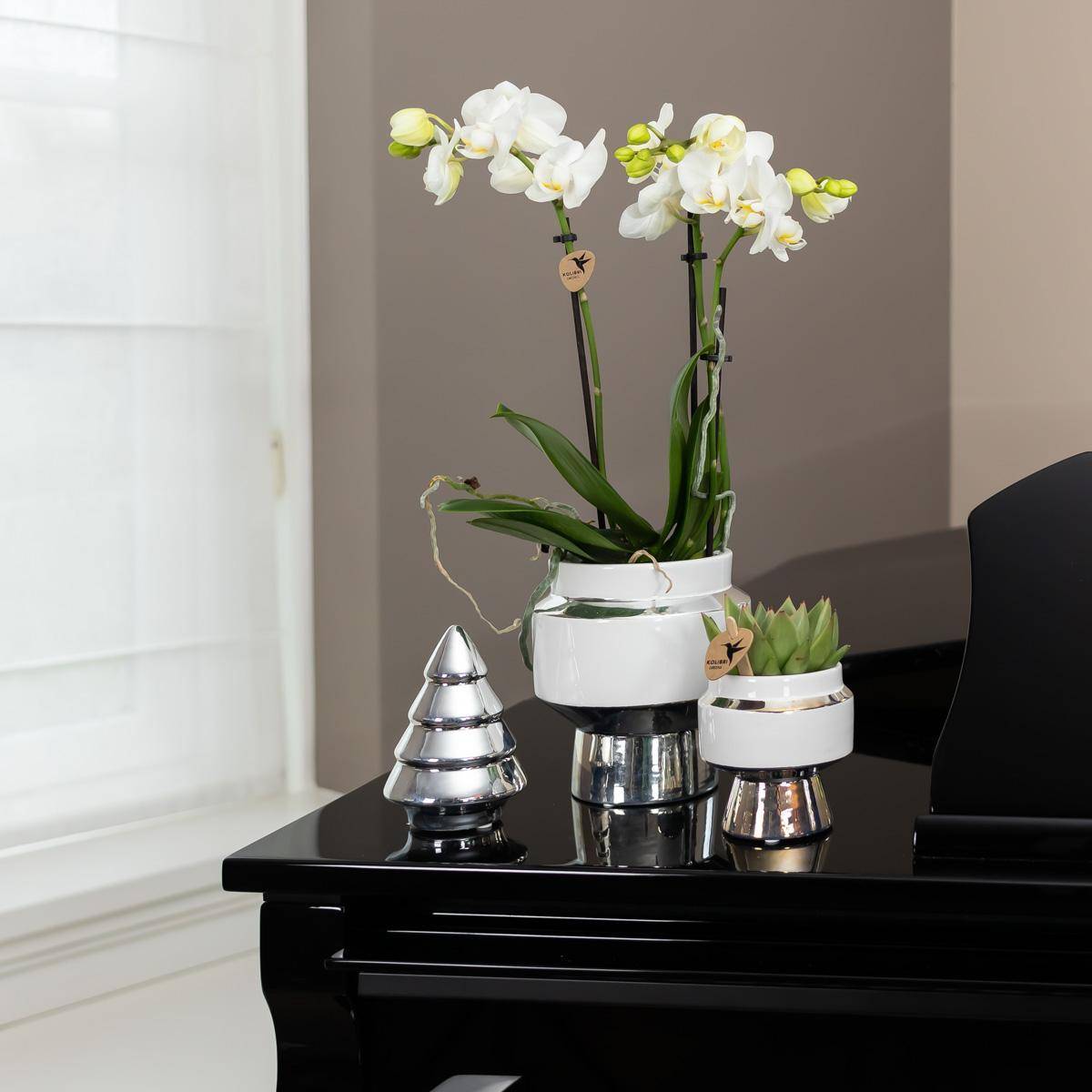 La Green Touch - Orchidée Amabilis Blanche et son pot- La Green Touch Chic argenté - Hauteur 35cm - Image 4