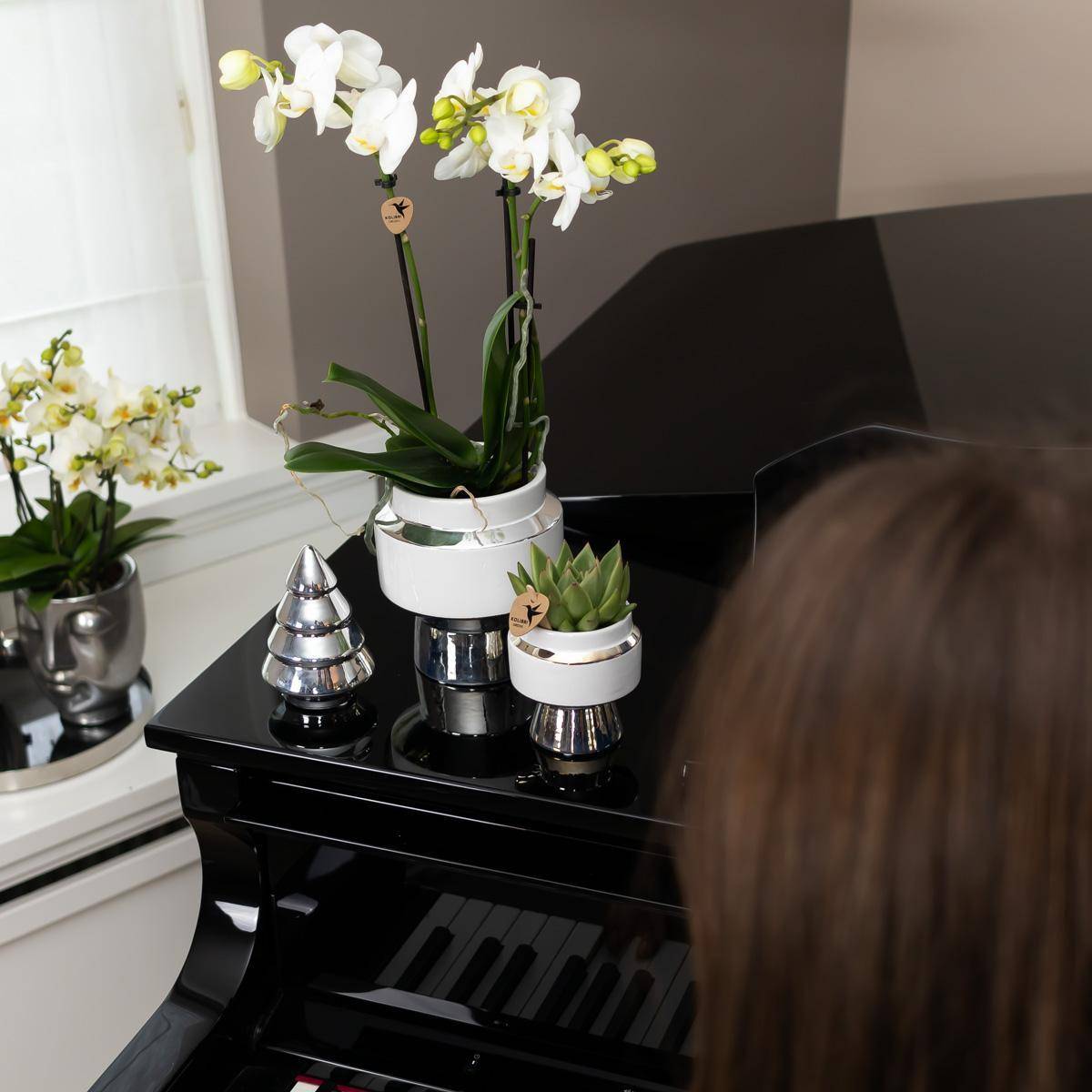 La Green Touch - Orchidée Amabilis Blanche et son pot- La Green Touch Chic argenté - Hauteur 35cm - Image 5