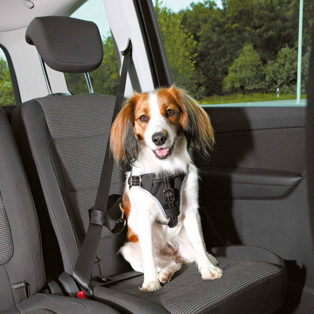 Trixie - Trixie - Harnais pour voiture Dog Confort S-M pour chien - Image 1