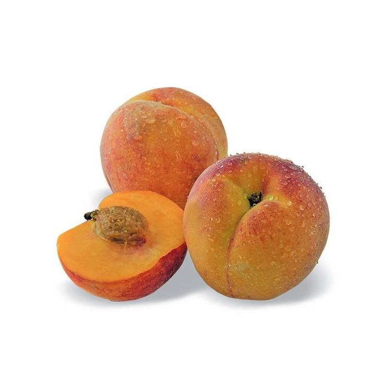 Pêcher nain Pêche de poche - Nains de jardins® - Bon rendement -  - De 1,50 m à 2,00 m - Image 1