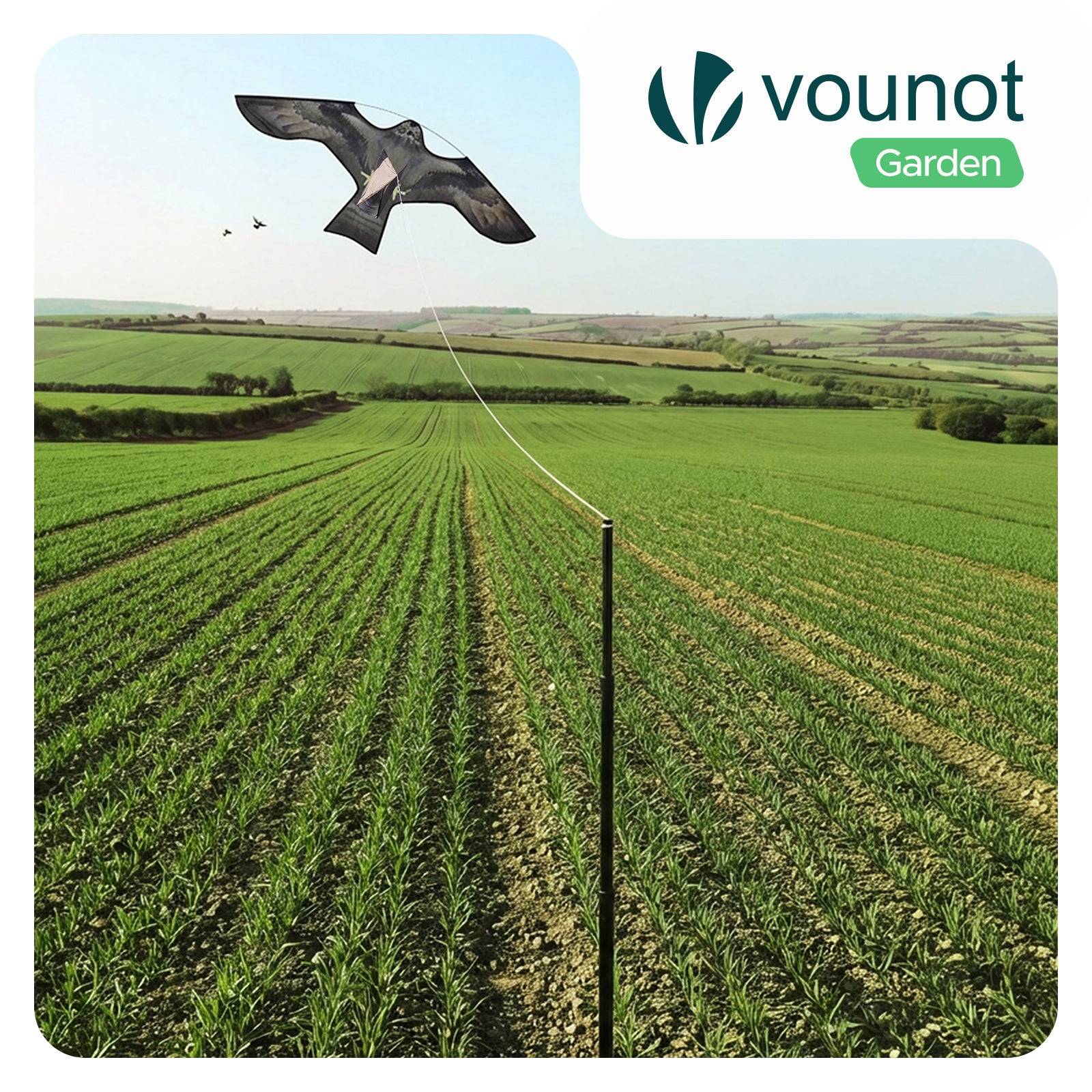 Cerf volant anti oiseaux effaroucheur avec mat Faucon modele F - Image 2
