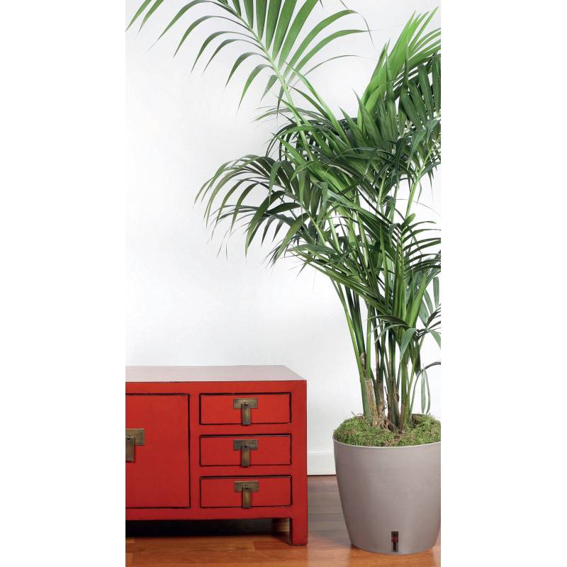 Riviera - Riviera Pot Rond Eva New En Plastique - O 46 Cm - 49 L - Taupe - Image 3