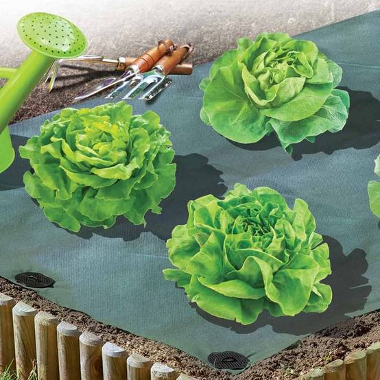 Toile de paillage saisonnière 15 mètres - Image 2