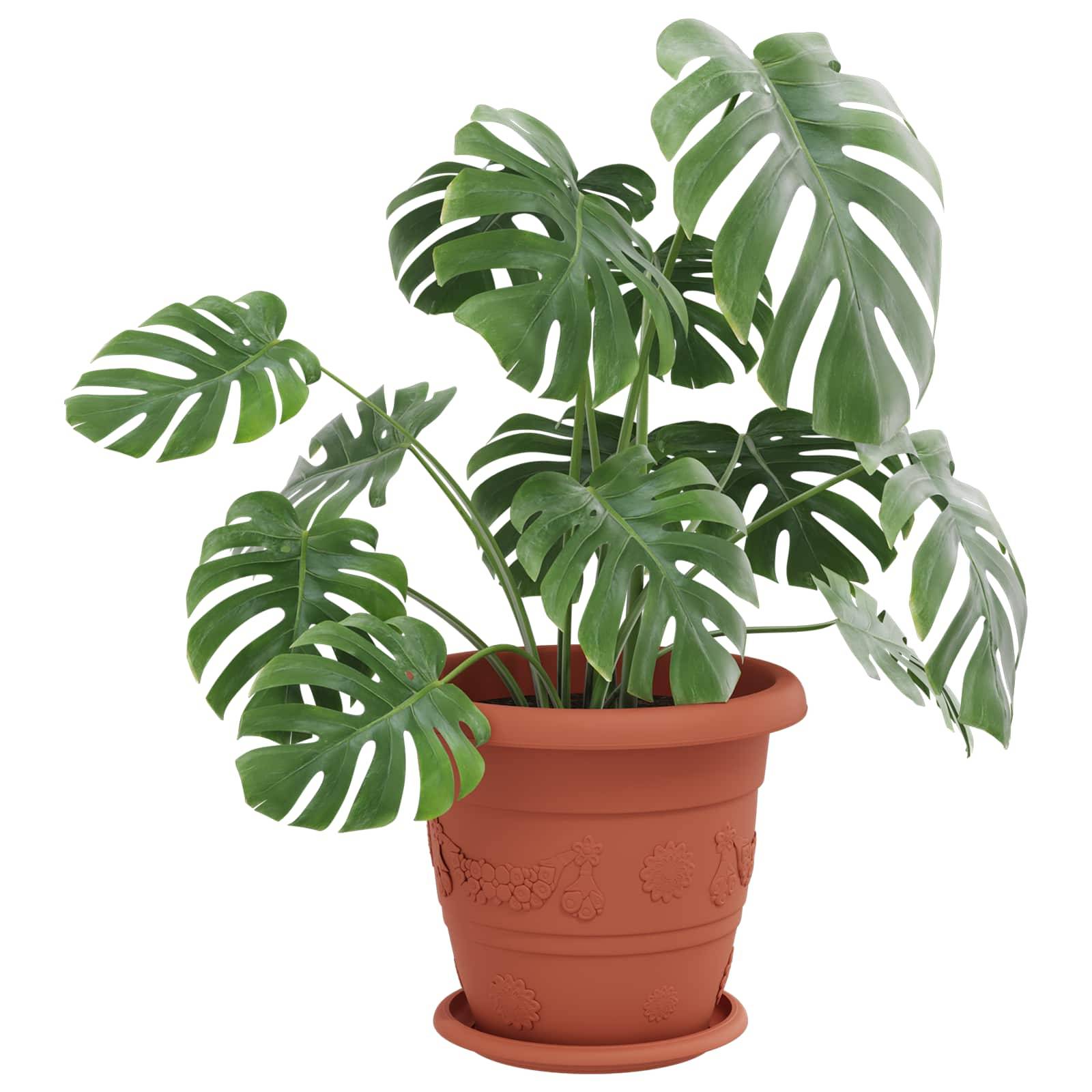 Pots de plantes 6 pcs | Bac à fleurs Rouge brique Ø 26 x 21.5 cm Plastique - Image 3