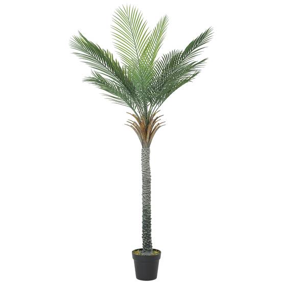 Palmier artificiel 180 cm, plante artificielle tropicale en pot, 15 feuilles réalistes, pour salon, chambre, bureau - Image 2