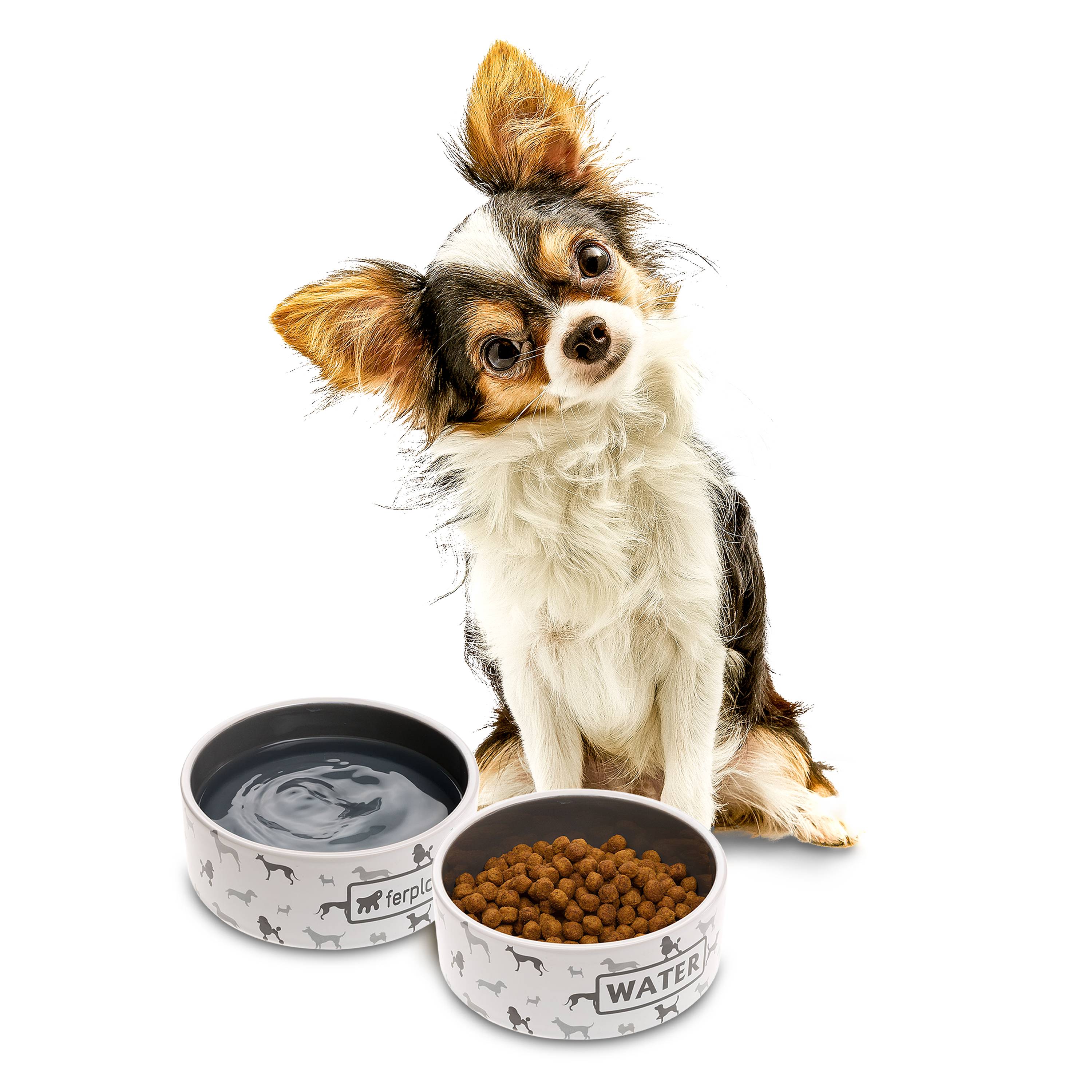Ferplast - Ecuelle en Céramique pour Petits Chiens et Chats, JUNO SMALL, Fantaisie originale - Image 4
