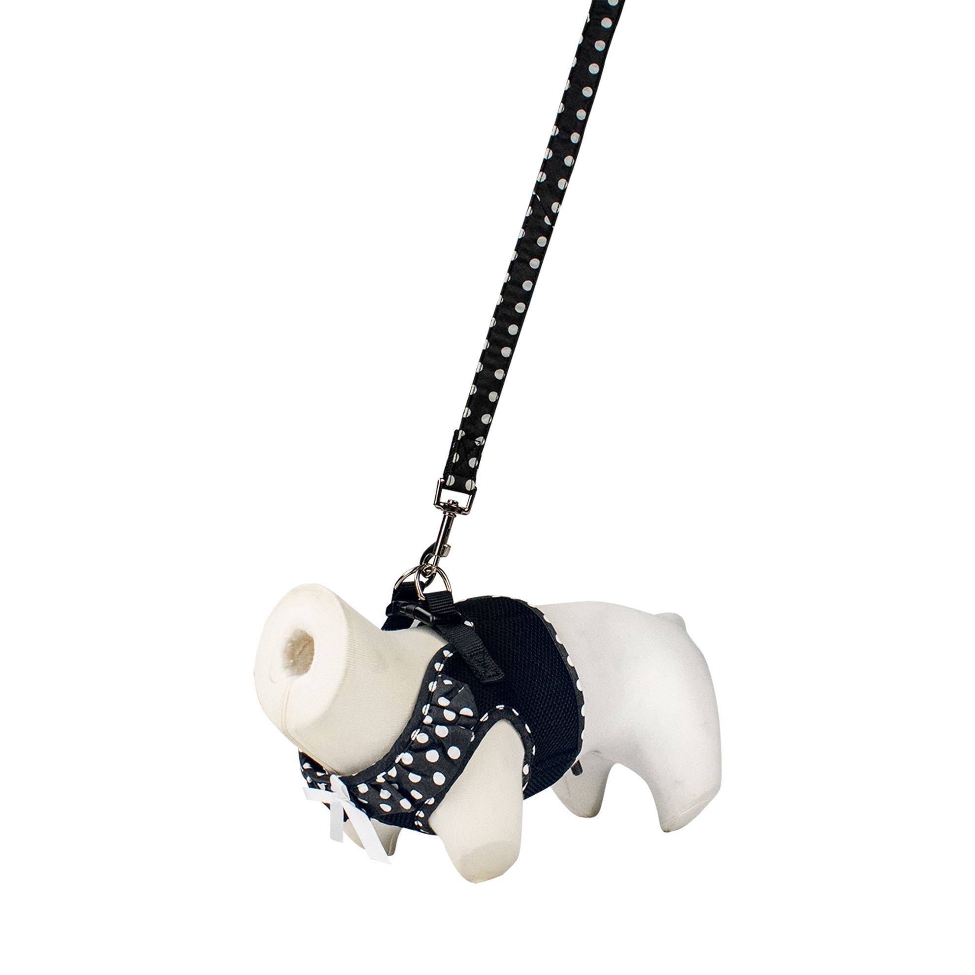 Harnais air mesh et laisse pois Noir Taille : L DOOGY CLASSIC