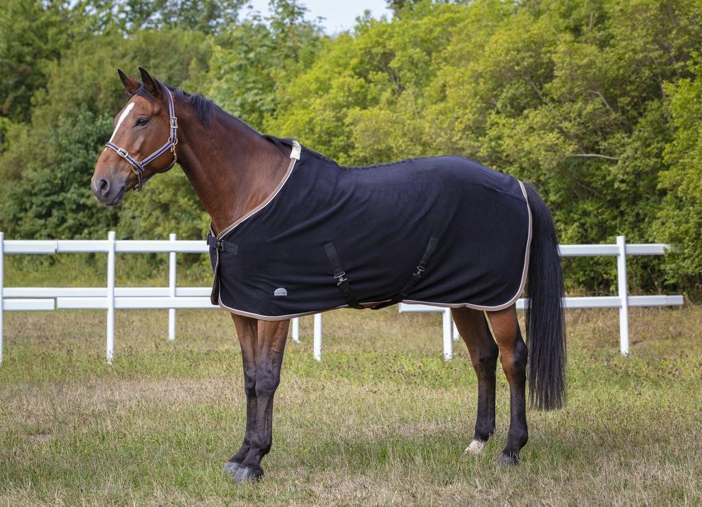 Licol polyfun bleu marine EQUITHEME pour cheval - Image 1