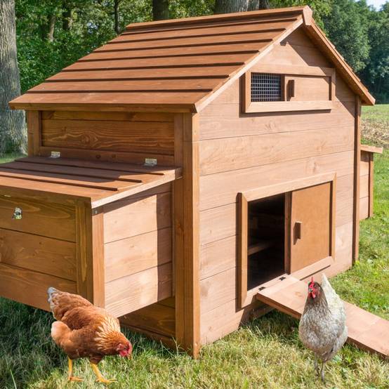 Poulailler en bois pour jardin extérieure cage canard équipé 2 nichoirs 185 x 84 x 112 cm Modèle 154 Ferme de terrain - Image 1