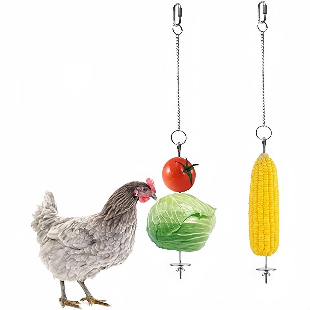 Brochette porte - fruits et mangeoire alimentateur pour Oiseaux - Lytech - Image 1