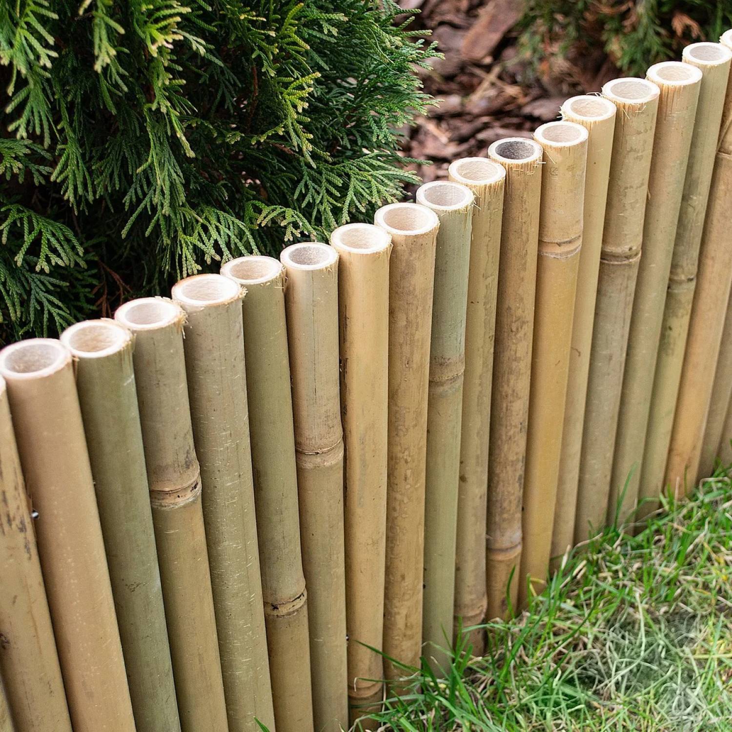 Linxor - Bordure à planter, clôture de jardin flexible en bambou - 100 x 20 cm - Bois clair - Linxor - Image 2
