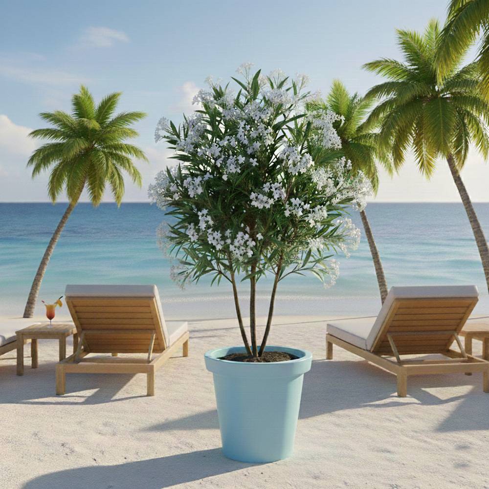 Plast'Up Rotomoulage - Pot de fleurs rond xxl delight 75l- lot de 2 - Image 4