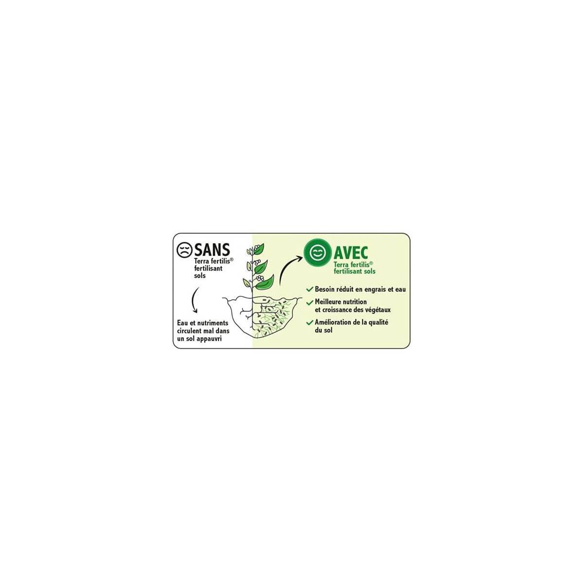 Terra Fertilis - Amendement biochar + mycorhizes pour fleurs et massifs - sachets 250 g à 1 kg - 250 grs - Image 3