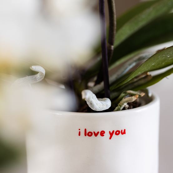 Orchidée Phalaenopsis Rouge Congo Avec Plante Verte Dans des Cache‑pots Love - H35cm - Image 5