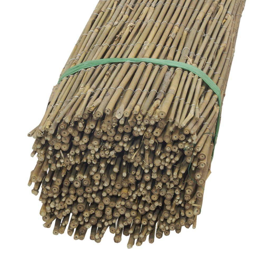 Jardindeco - Canisse en petit bambou 2 x 5 m - Image 2