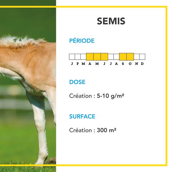 Mélange Prairie - Productif et Appétent - Rapide d'Installation - Très Bonne Pérennité - Production Alimentation pour Animaux - 1KG - BARENBRUG - Image 4