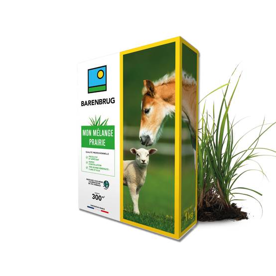 Mélange Prairie - Productif et Appétent - Rapide d'Installation - Très Bonne Pérennité - Production Alimentation pour Animaux - 1KG - BARENBRUG - Image 1