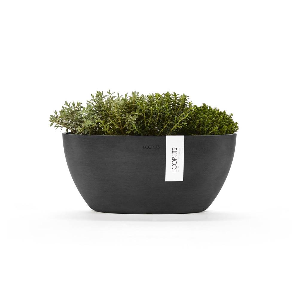 Ecopots - Pot Ovale Sofia 30 Gris Foncé + réservoir d'eau - 30 x 13 x H. 13,5 cm - 2,7 L ECOPOTS - Image 2