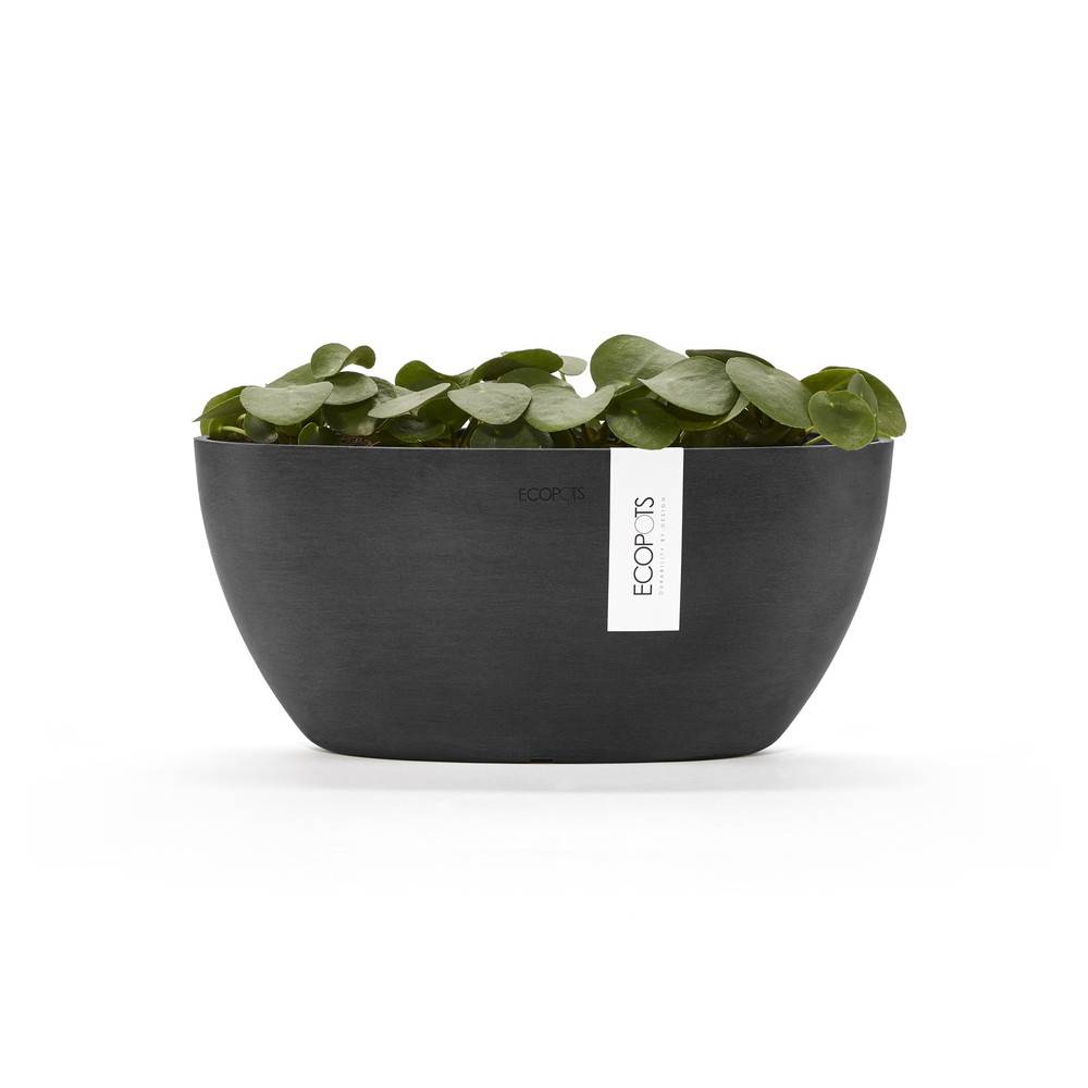 Ecopots - Pot Ovale Sofia 30 Gris Foncé + réservoir d'eau - 30 x 13 x H. 13,5 cm - 2,7 L ECOPOTS - Image 3