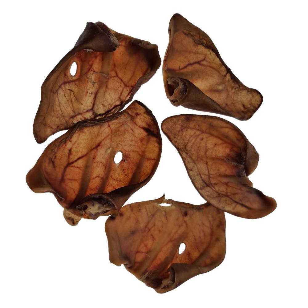 animallparadise - 5 oreilles de porc friandise pour chien - Image 1