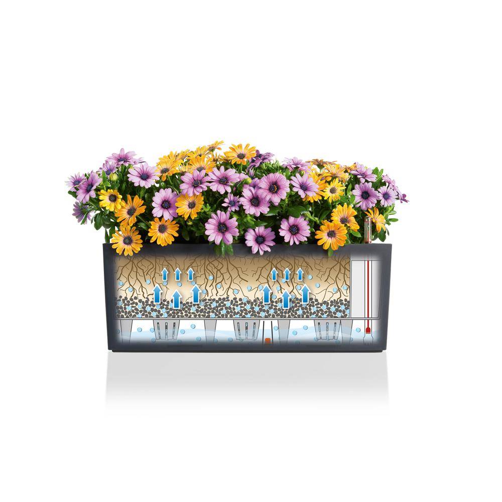 Lechuza - Jardinière Balconera Trend L.50 x l.19 x H.19 cm - Image 4
