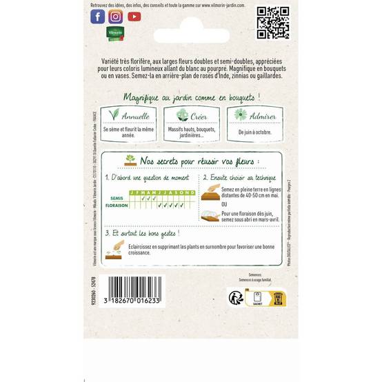 Vilmorin - Sachet de Graines Cosmos double Click Varié : Embellissez Votre Extérieur Facilement - Image 2