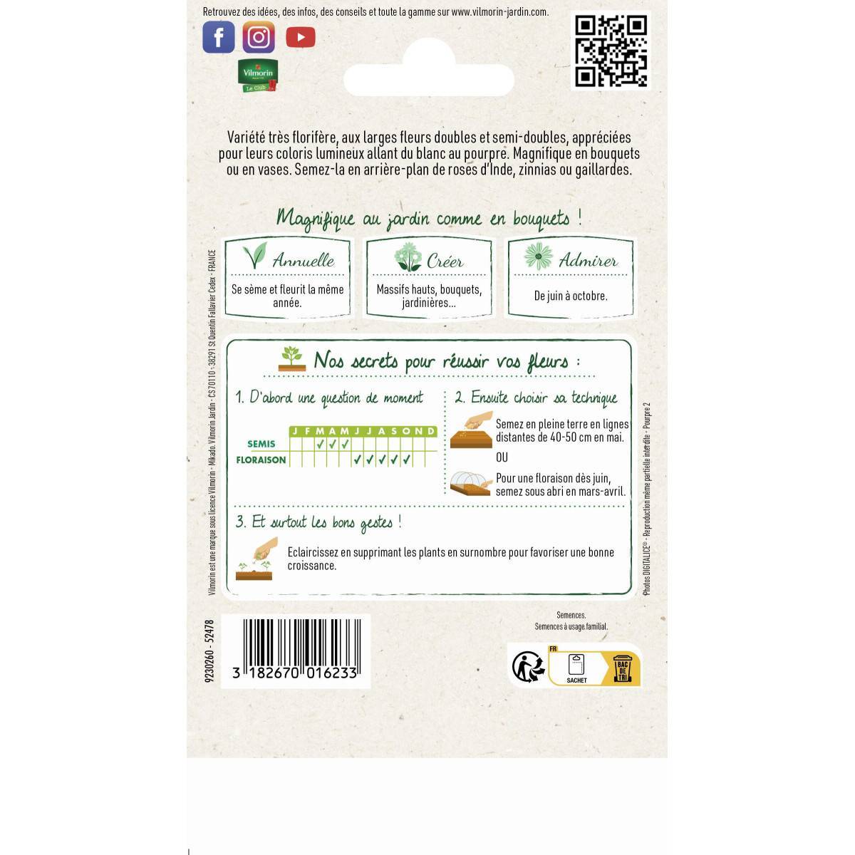 Vilmorin - Sachet de Graines Cosmos double Click Varié : Embellissez Votre Extérieur Facilement - Image 2