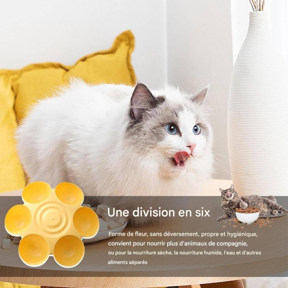 DtopbuyAge - Gamelle en forme de fleur pour chat DtopbuyAge - Image 2