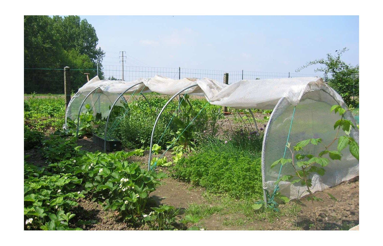 Serre de jardin tunnel de forçage 5m de long - serre à semis - LES SERRES TONNEAU - Image 7