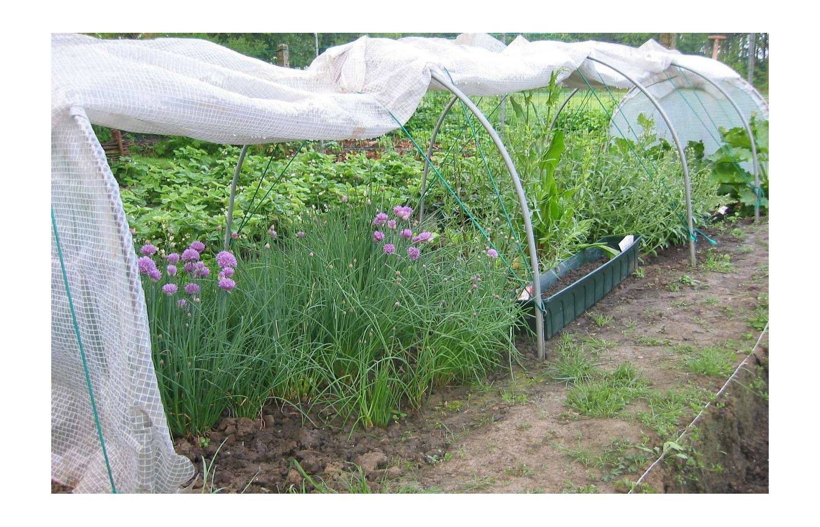 Serre de jardin tunnel de forçage 5m de long - serre à semis - LES SERRES TONNEAU - Image 8