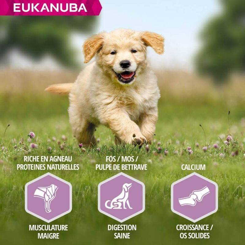 Eukanuba - CROQUETTES CHIEN PUPPY JUNIOR AGNEAU LARGE - EUKANUBA 2,5 kg - Image 2