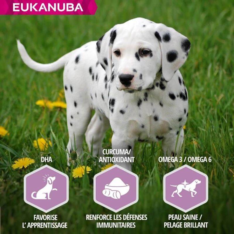 Eukanuba - CROQUETTES CHIEN PUPPY JUNIOR AGNEAU LARGE - EUKANUBA 2,5 kg - Image 3