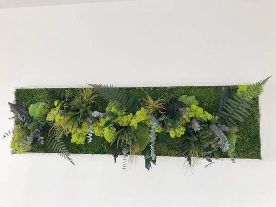 Tableau Végétal Stabilisé Ji Irui - Tableau Végétal - Décoration d'Intérieur - 140*40 cm - Image 1