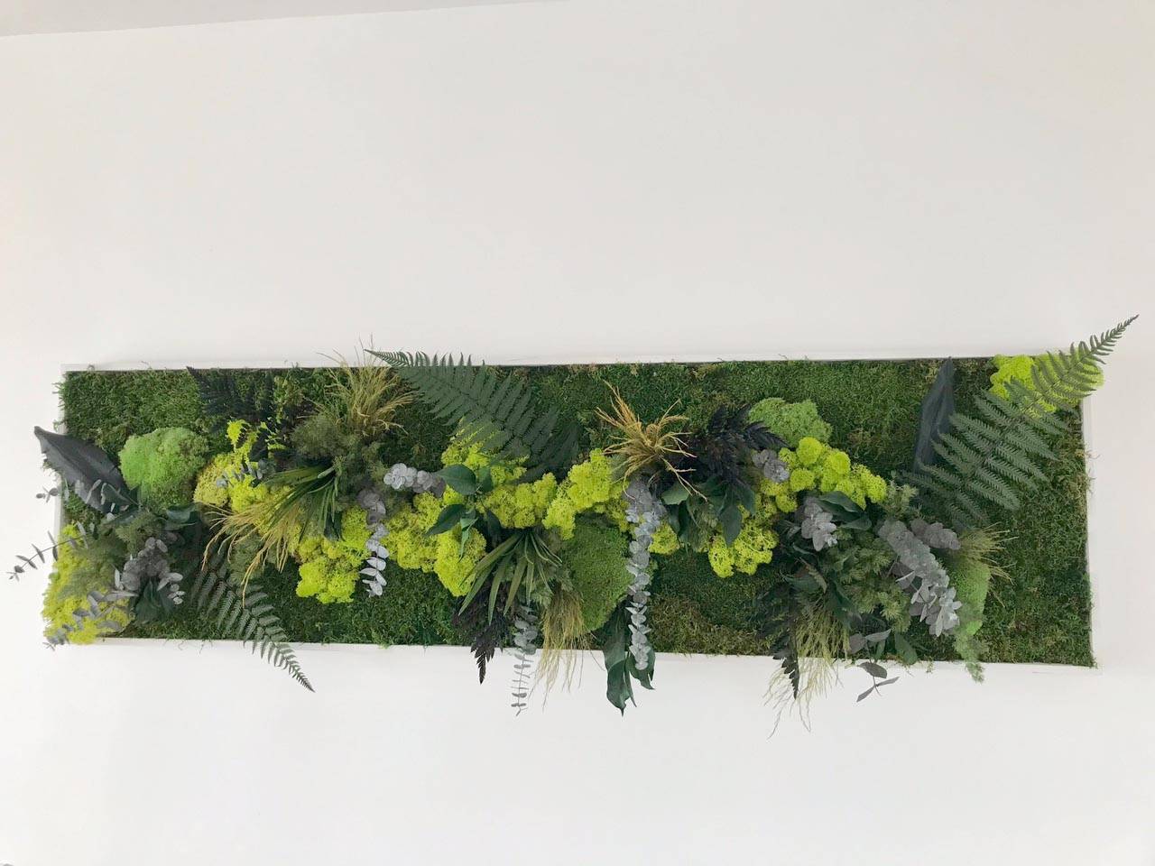 Tableau Végétal Stabilisé Ji Irui - Tableau Végétal - Décoration d'Intérieur - 140*40 cm