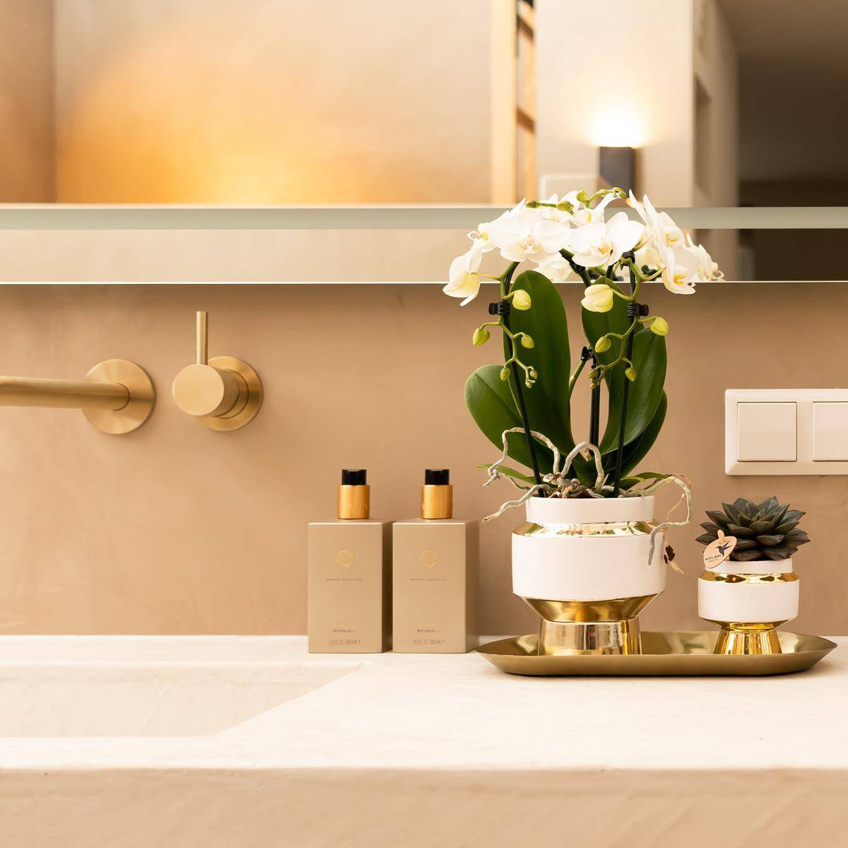 Le Chic bloempot - Pot blanc avec détails dorés- La Green Touch - Image 2