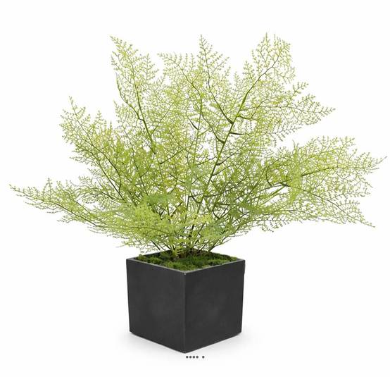 Asparagus artificiel en piquet 50 cm très dense extérieur - Image 1