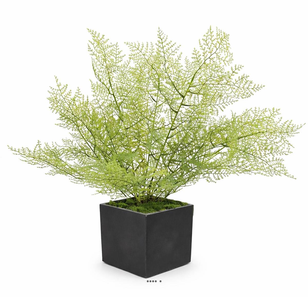 Asparagus artificiel en piquet 50 cm très dense extérieur - Image 1