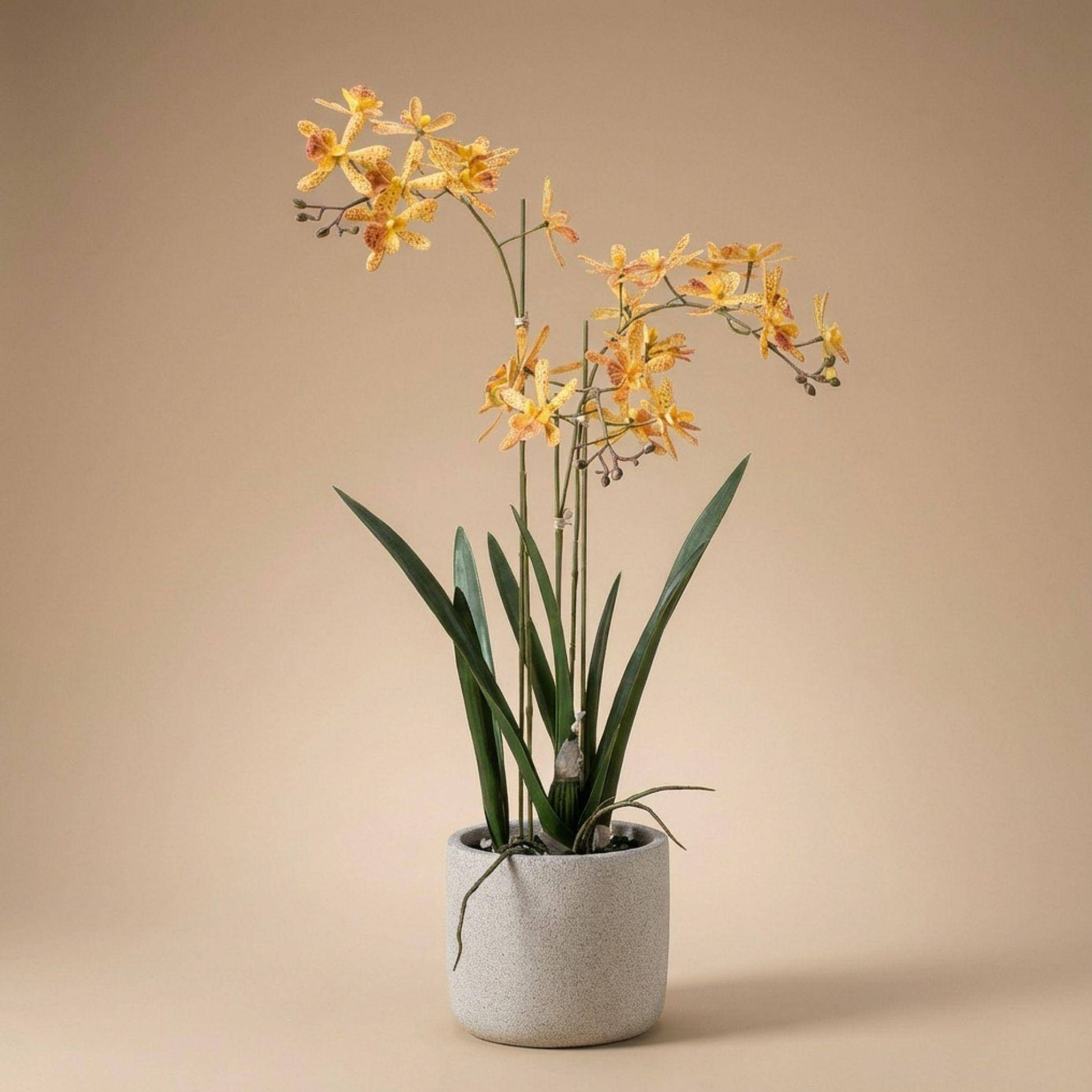 PANGIVO - Orchidée artificielle plastique jaune et orange 20 x 20 x 56 cm - PANGIVO - Image 1