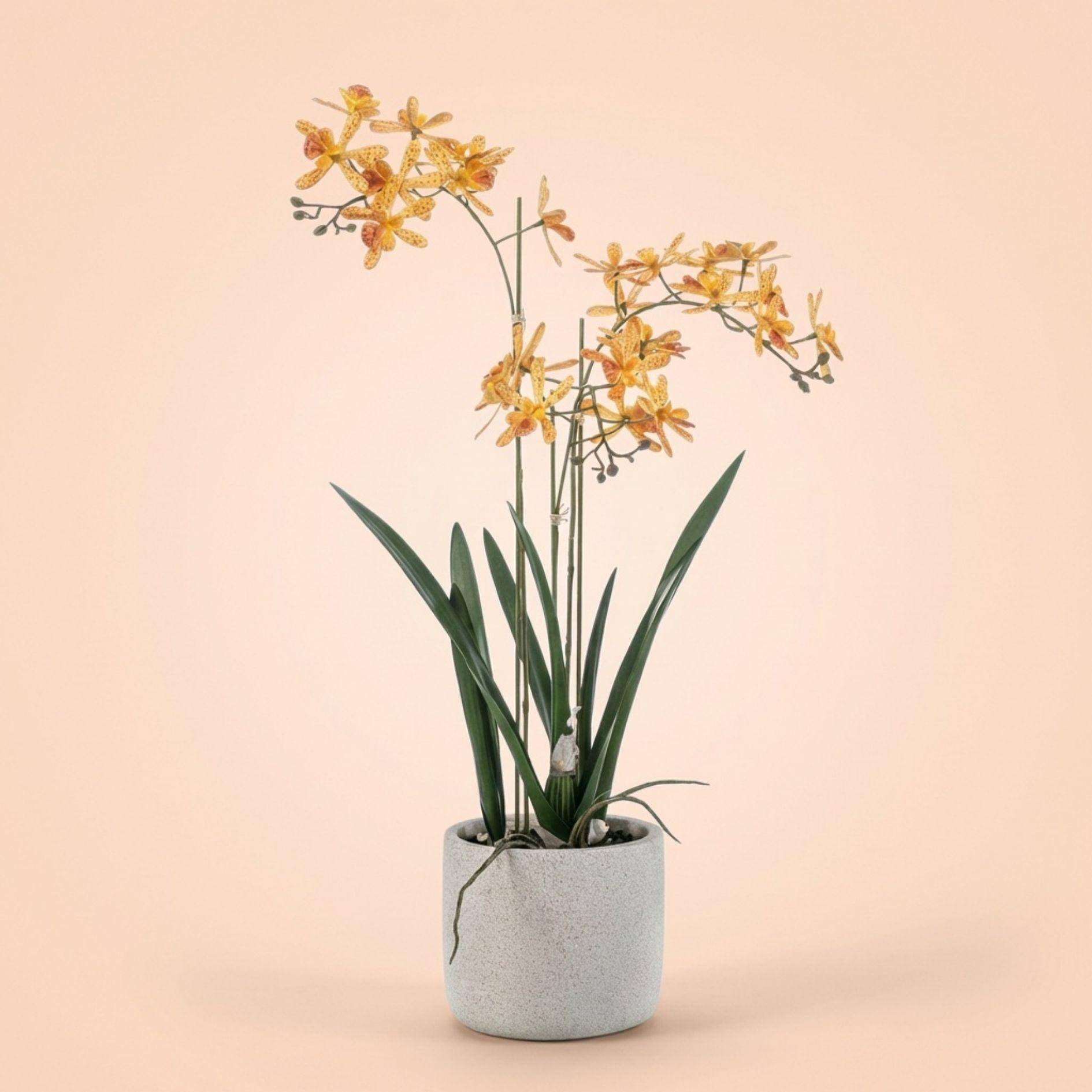 PANGIVO - Orchidée artificielle plastique jaune et orange 20 x 20 x 56 cm - PANGIVO - Image 6