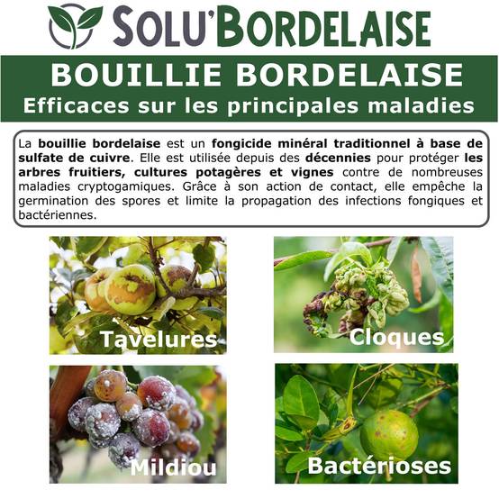 Solu'Bordelaise - 3 kg Bouillie Bordelaise Non Colorée - Polyvalent Sulfate de Cuivre - Protection Arbres Fruitiers, Cultures Potagères, Vignes -UAB - Image 5