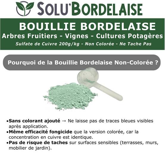 Solu'Bordelaise - 3 kg Bouillie Bordelaise Non Colorée - Polyvalent Sulfate de Cuivre - Protection Arbres Fruitiers, Cultures Potagères, Vignes -UAB - Image 4