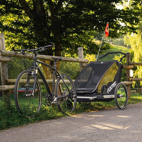 FUXTEC - Remorque vélo pourpre - FUXTEC Sport Cruiser - charge max. 45kg, 2 ceintures 5 points, Enfants Poussette Pliable - Image 7